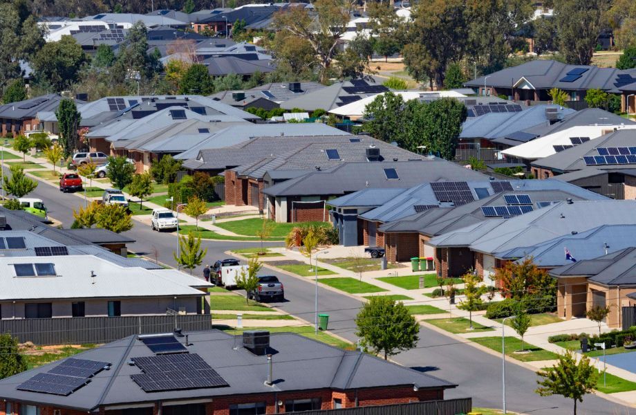 The Hidden Roofing Cost of Asheville's Tree-Lined Neighborhoods